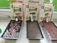 IMG_20250324_105229 (Copy).jpg