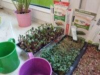 IMG_20250401_112238 (Copy).jpg