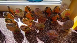 20250402_113348 (Copy).jpg