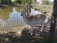 IMG_20250515_094358 (Copy).jpg