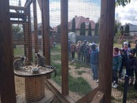 IMG_20250515_092908 (Copy).jpg