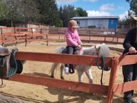 IMG_20250515_095449 (Copy).jpg