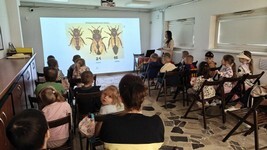 IMG20260525095513 (Copy).jpg