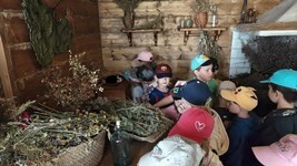 IMG20260525104140 (Copy).jpg