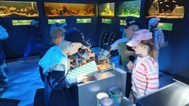IMG20260525110902 (Copy).jpg